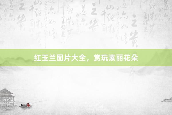 红玉兰图片大全，赏玩素丽花朵