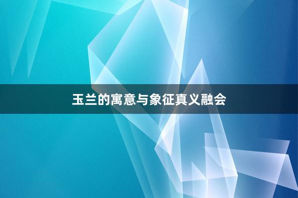 玉兰的寓意与象征真义融会